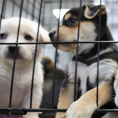 sooo... whats the plot of the song (me)