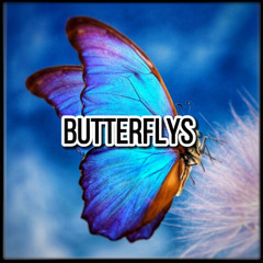 butterflys