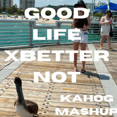 one republic x louis the child- Better Life (KAHOG Mashup)
