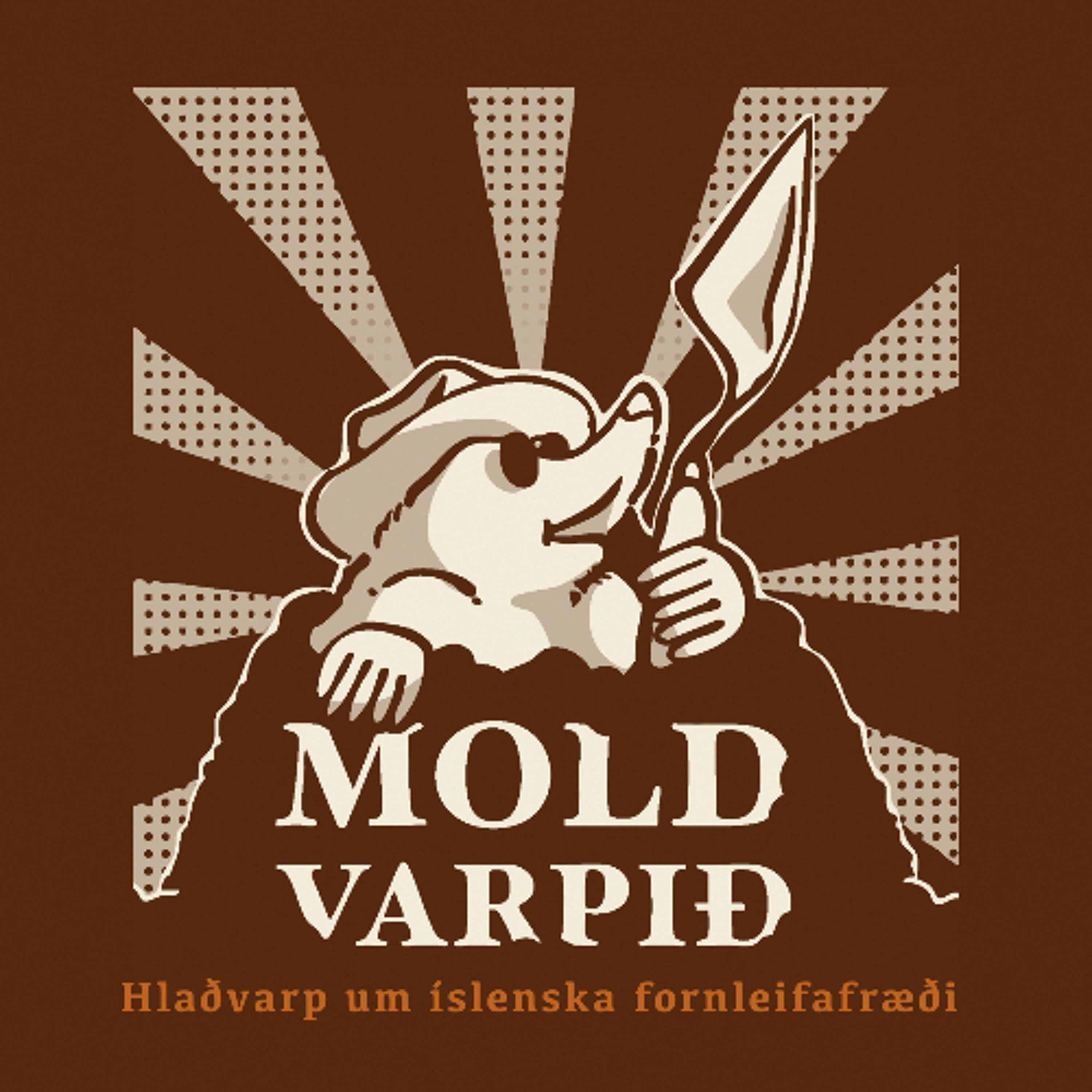 5. Landnám Reykjavíkur II: Víkingaþorpið í Kvosinni episode artwork