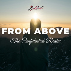 The Confidential Realm - From Above (Rework Slowed)