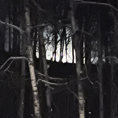 Jealous w/ x3lijah, Bailee