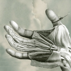 Stream Free the Robots | Listen to Loopholes Vol. 1 - Rap
