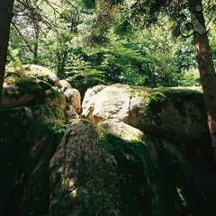 Maquis Son Sistèm - Le Repos Des Roches (Ondes Géologiques Pour Le Temps Long)