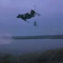 Cows in a Tornado (STBB#939)