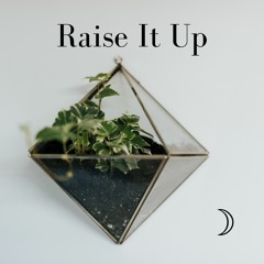 raise it up (oluás flip)