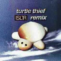 PAS TASTA - turtle thief (ISLTR remix)