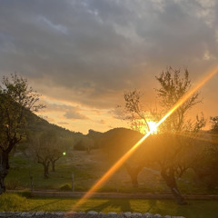 MagicMax@RealityUpgradeRetreat_MushroomMix_Pt.1