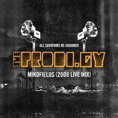 #SVNR: The Prodigy - Mindfields (2008 Live Mix) // re-chamber