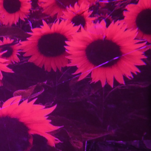 (UNMIXED-BLIND RENDER) NEGLECT---LIKE A THEIF - 8-10-25 - 701am 96BPM (_35) STRETCH TO 7MIN