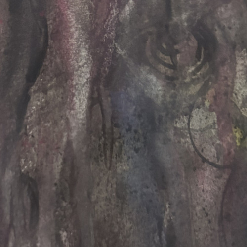 a rose without thorns