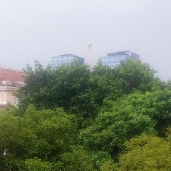 Thunderstorm, song chanting and bird singing