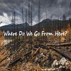 Where_Do_We_Go_From_Here?