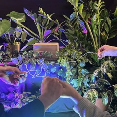 Human | Biodata Sonification + Atmosphere