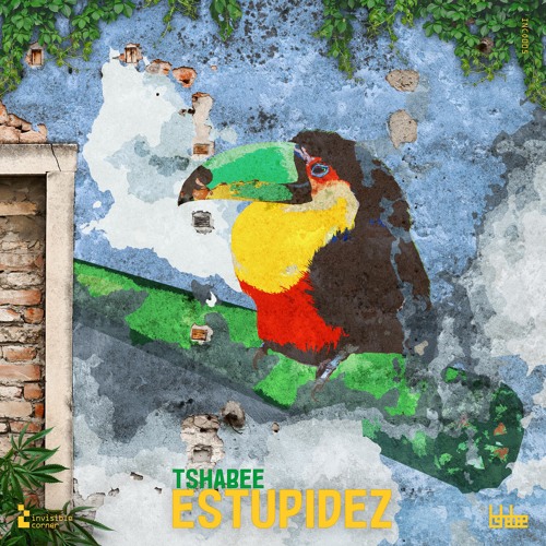 [Premiere] tshabee - Estupidez (out on Invisible Corner)