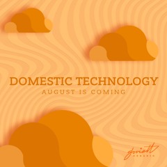 Domestic Technology - August Is Coming (Synth Hiacynt Remix)