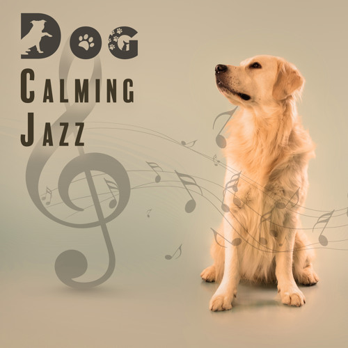 Stream Sad Music Zone | Listen to Dog Calming Jazz: Music to Relieve ...