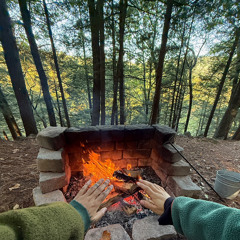 Better than solitude — 9/10/25