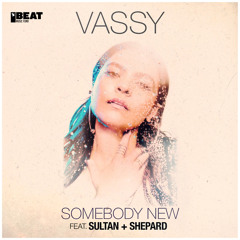Somebody New (feat. Sultan + Shepard)
