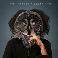 Scott Nice - Night Thrush