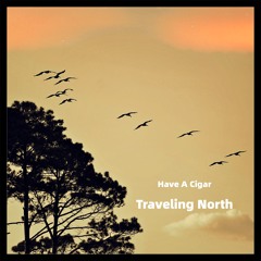 Traveling North