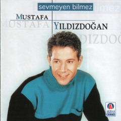 Sevmeyen Bilmez
