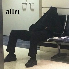 allei prod. 10kreditkarten