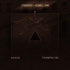 Shaed - Trampoline ( Pandorux & Reqmeq ) RMX