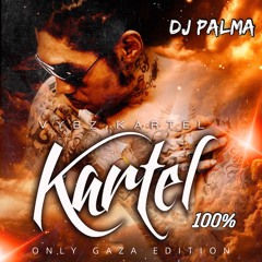 VYBZ KARTEL SPECIAL-DJ PALMA