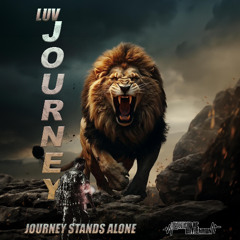 Tum Hai ApNa Instrumental