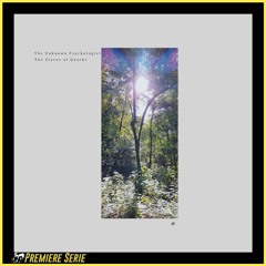PREMIERE : The Unknown Psychologist - The Flavor Of Quarks [KVLTÖ Records]