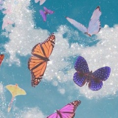 butterflies (prod. sogimura)