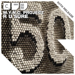 R U Sure (Jamie McHugh Remix)