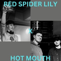 MASHUP | HARD TECHNO | Fantasm - Red Spider Lily X Toxic Machinery - Hot Mouth