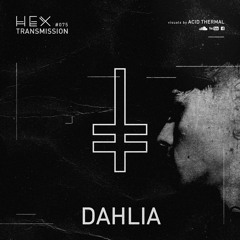 HEX Transmission #075 - Dahlia