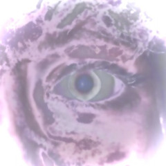 T17:53TMCFUZZ ( demo )