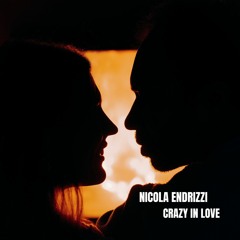 Nicola Endrizzi - Crazy In Love (tech house remix) [Beyoncé]