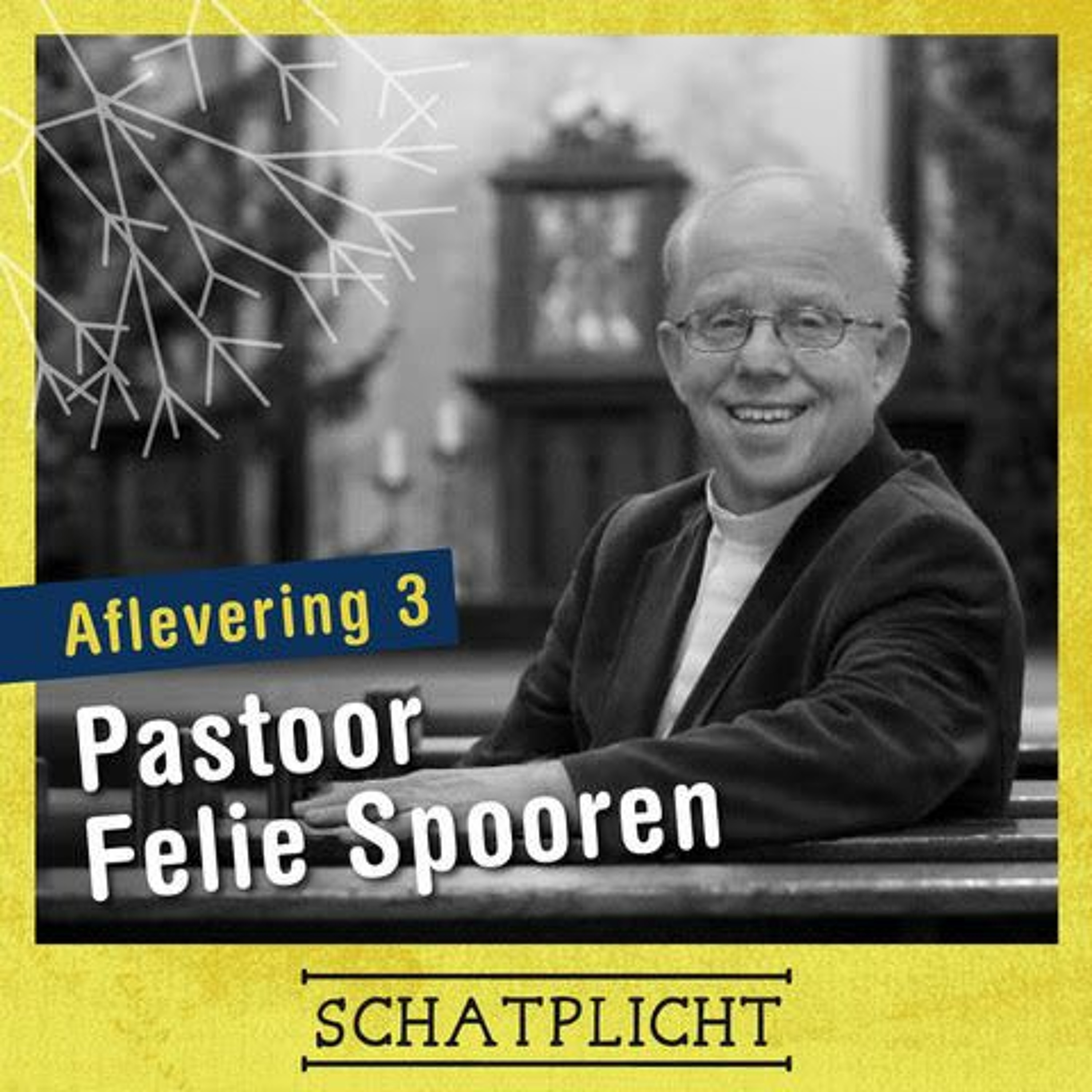 Schatplicht: De Podcast