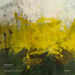 CF Premiere: Rostøm - Scientific Boundaries [Prophet Recordings]