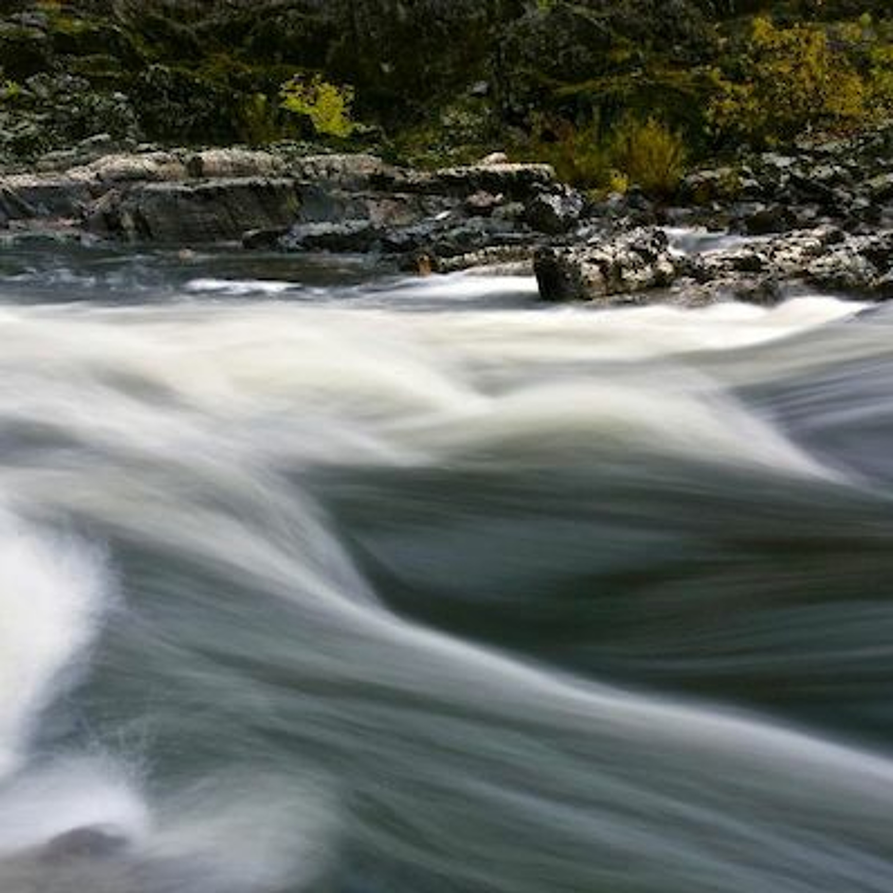 Episode 39: Beavers, killer whales, and the tie that binds