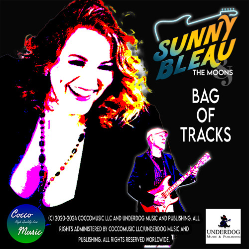 Bag of Tracks