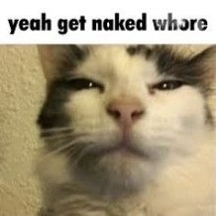 ygnw 2 (older version, goes harder but i fd up the harmony and mixing)