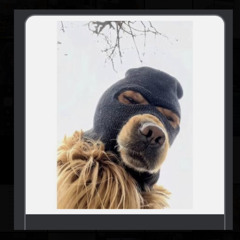 eli Sostre- New Edition