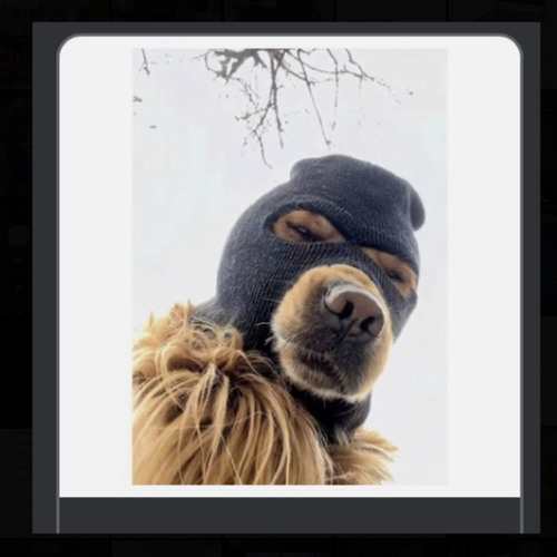 eli Sostre- New Edition