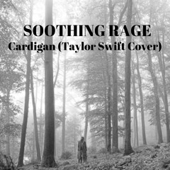Cardigan (Taylor Swift Cover)