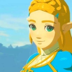 D Savage Zelda