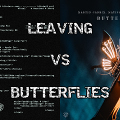 Blinders vs Martin Garrix, Matisse & Sadko feat. BARBZ - Leaving vs Butterflies (Arpit Mashup)