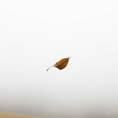 Stumbling Around