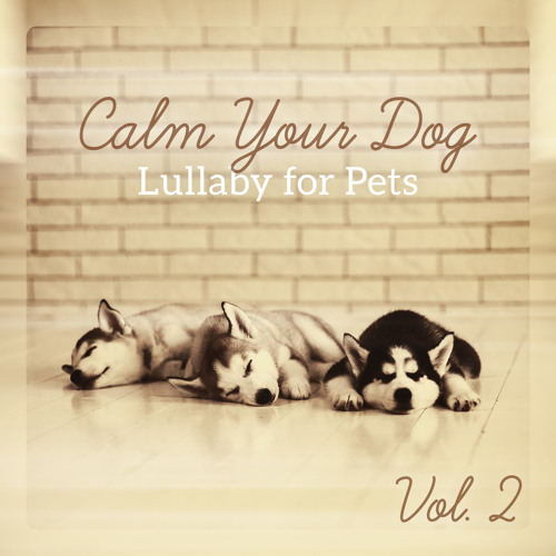 do lullabies work for dogs