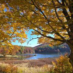 ORTF Calamone Lake Field Recording Session 16/10/2025